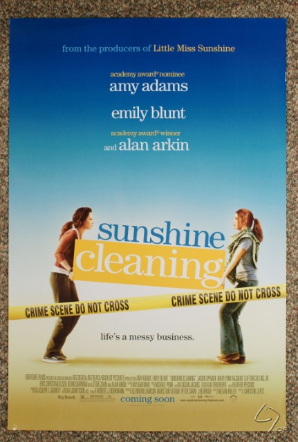 sunshine cleaning.JPG